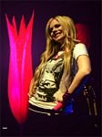 pic for Princess avril lavigne